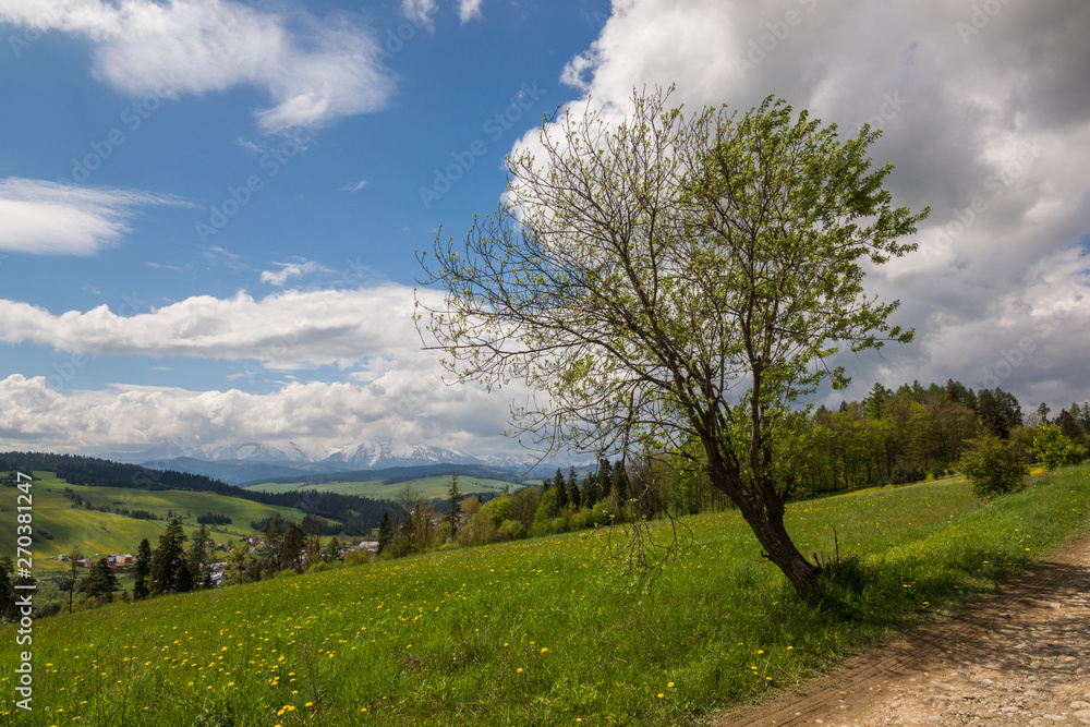 Snow capped peaks of the Tatras in spring seen from Niedzica, Malopolskie, Poland