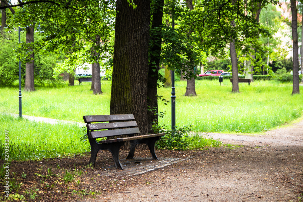 Bench in the park under the tree in spring Bench in the park under the tree in spring