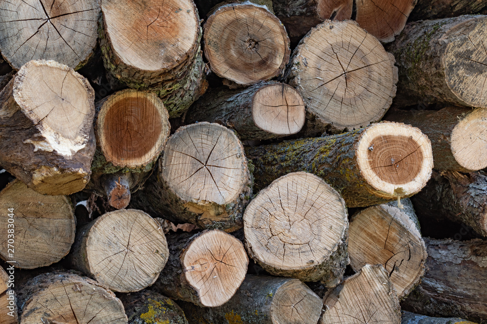 Stock photo wall firewood background of dry chopped firewood logs in a pile Stock photo wall firewood background of dry chopped firewood logs in a pile
