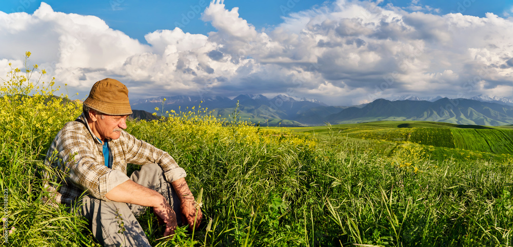 Panorama of a mountain valley in summer. Adult man looks into the distance. Amazing nature, mountains, lit by the sun in clear weather, summer in the mountains. Travel and camping, tourism