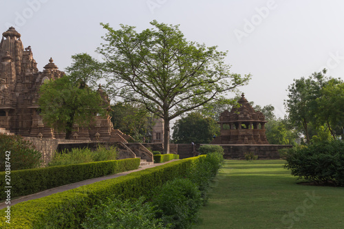 Tree amongst khajuraho temples in madhya pradesh india