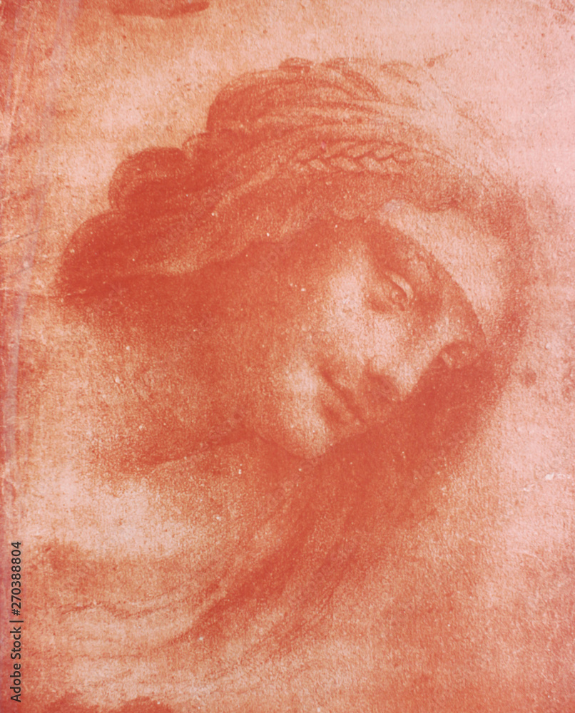 The head of the woman by Leonardo Da Vinci in the vintage book Disegni di Leonardo by L. Beltrami, Milan, 1904 The head of the woman by Leonardo Da Vinci in the vintage book Disegni di Leonardo by L. Beltrami, Milan, 1904
