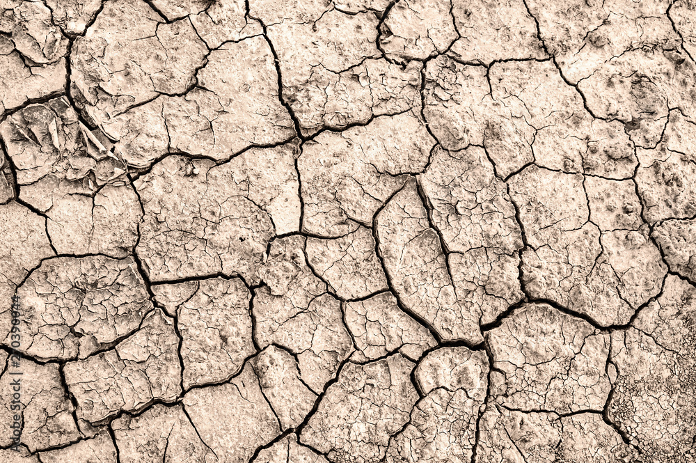 Cracked earth. Texture of cracks in the dry earth. Cracked earth. Texture of cracks in the dry earth.