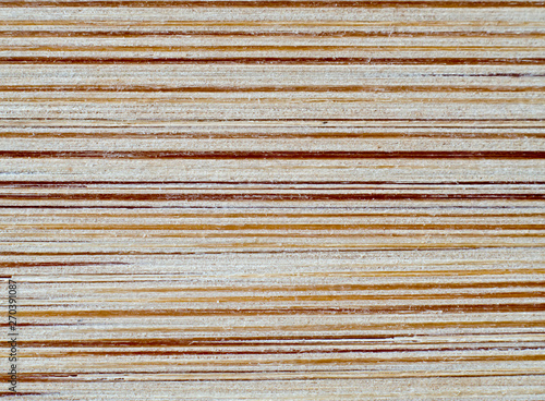 Colorful wood texture macro.