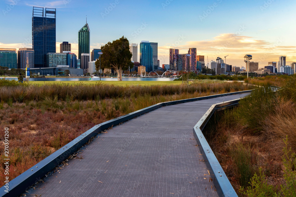 Winding Path, displaying Australian flora, at Sunset with Perth City in Background 