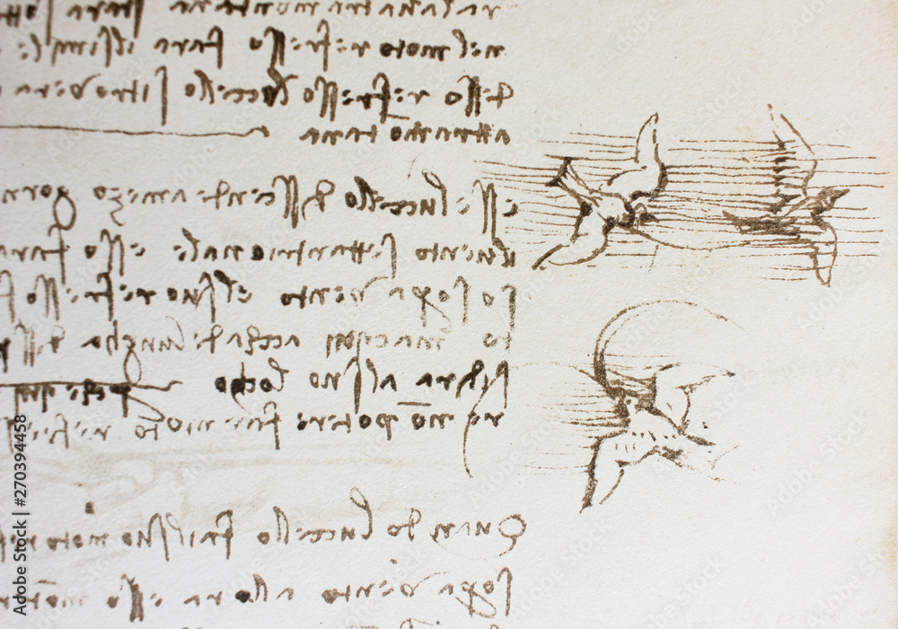 Bird Dove Mechanism Of Flight In The Vintage Book Manuscripts Of Leonardo Da Vinci Codex On The Flight Of Birds By T Sabachnikoff Paris 1893 Stock Illustration Adobe Stock Bird Dove Mechanism Of Flight In The Vintage Book Manuscripts Of Leonardo Da Vinci Codex On The Flight Of Birds By T Sabachnikoff Paris 1893 Stock Illustration Adobe Stock