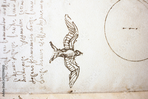 Bird, dove, mechanism of flight in the vintage book Manuscripts of Leonardo da Vinci, Codex on the Flight of Birds by T. Sabachnikoff, Paris, 1893