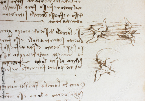 Obraz na płótnie Bird, dove, mechanism of flight in the vintage book Manuscripts of Leonardo da Vinci, Codex on the Flight of Birds by T