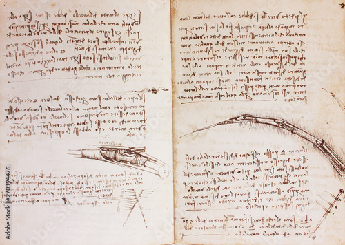 Bird bones, manuscripts in the vintage book Manuscripts of Leonardo da Vinci, Codex on the Flight of Birds by T. Sabachnikoff, Paris, 1893