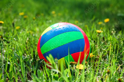 Multi-colored ball for the game Volleyball lies on the green grass, summer day