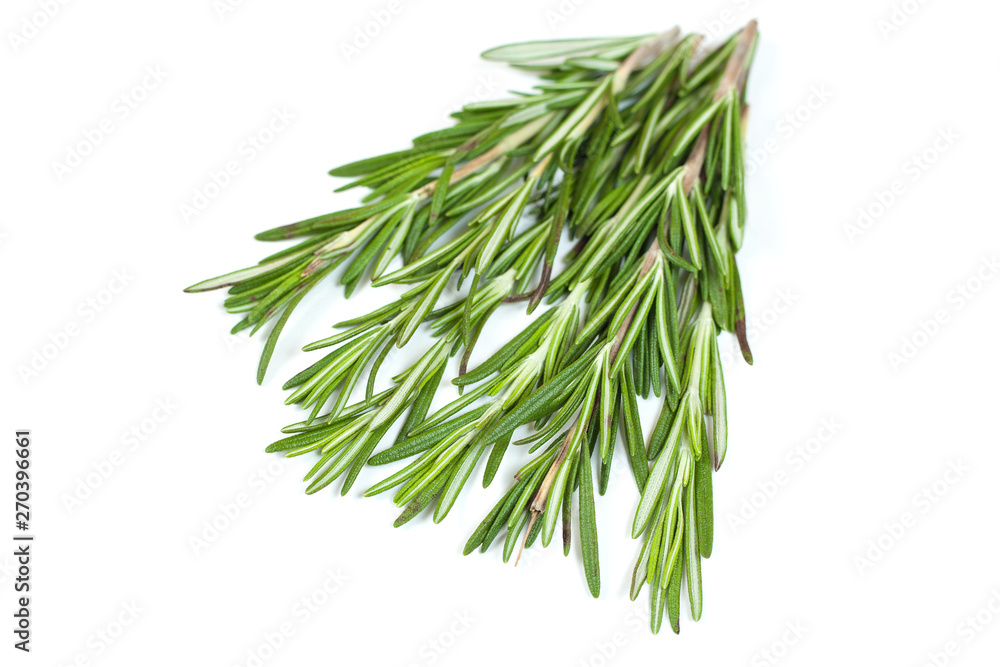 Fresh green rosemary twig on white background Fresh green rosemary twig on white background