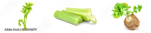 Collection of celeriac on a background