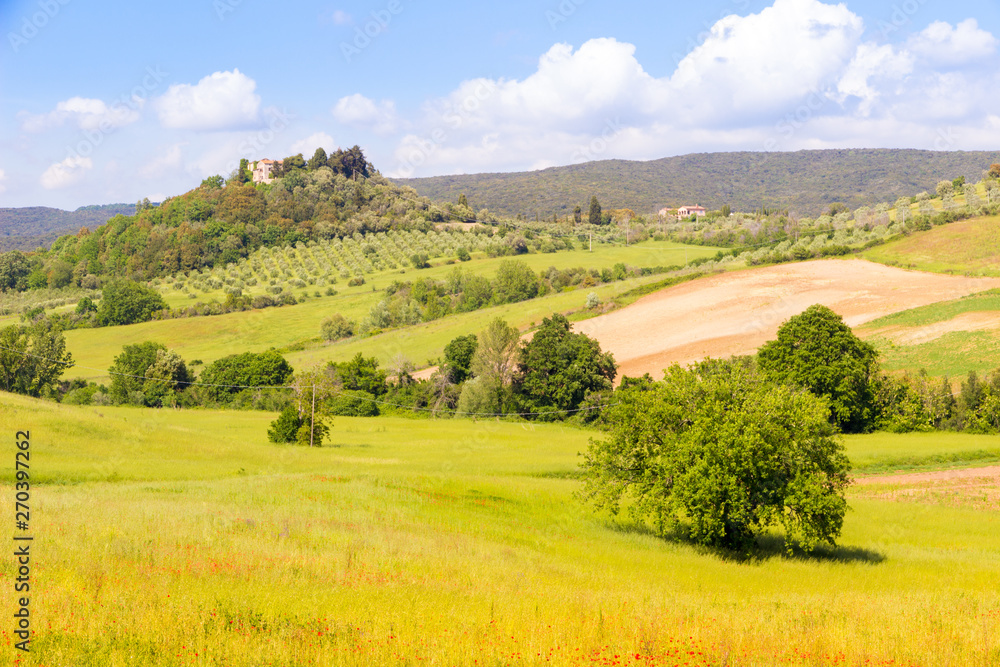 Sunny springtime tuscan country view near Massa Marittima , Italy Sunny springtime tuscan country view near Massa Marittima , Italy