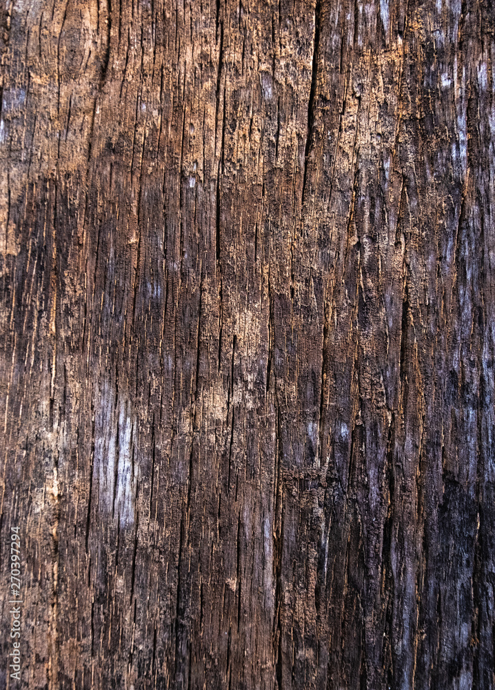Old wood for the background or old gray wood surface Antique or furniture surface Corroded surfaces over time Wood more than a hundred years old Old wooden background closer. Old wood for the background or old gray wood surface Antique or furniture surface Corroded surfaces over time Wood more than a hundred years old Old wooden background closer.
