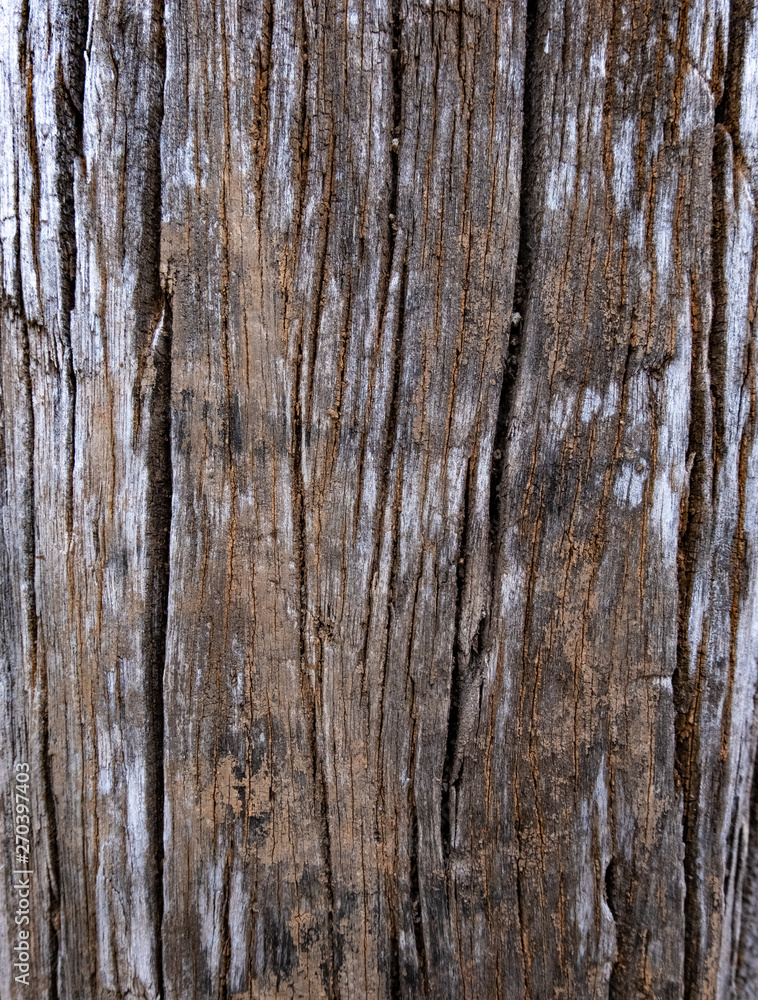 Old wood for the background or old gray wood surface Antique or furniture surface Corroded surfaces over time Wood more than a hundred years old Old wooden background closer. Old wood for the background or old gray wood surface Antique or furniture surface Corroded surfaces over time Wood more than a hundred years old Old wooden background closer.
