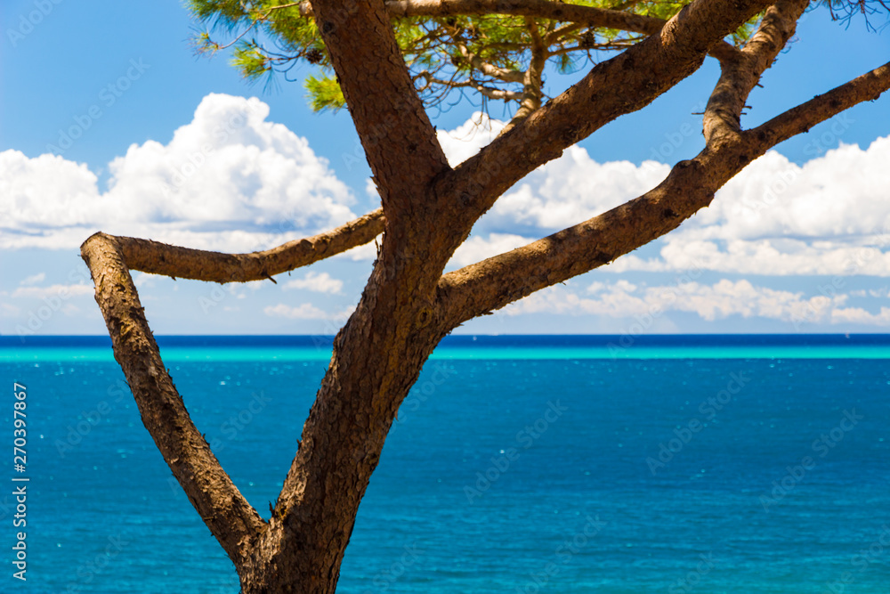 Beautiful sea in a summer day in Italy