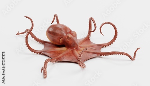 Realistic 3D Render of Giant Pacific Octopus photo