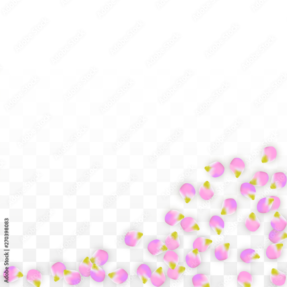 Vector Realistic Pink Petals Falling on Transparent Background. Spring Romantic Flowers Illustration. Flying Petals. Sakura Spa Design. Blossom Confetti. Vector Realistic Pink Petals Falling on Transparent Background. Spring Romantic Flowers Illustration. Flying Petals. Sakura Spa Design. Blossom Confetti.