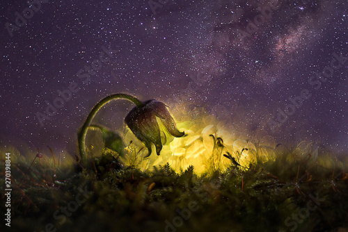 fantasy cosmic galactic magic flower in sparks of yellow flame on the background of the starry sky