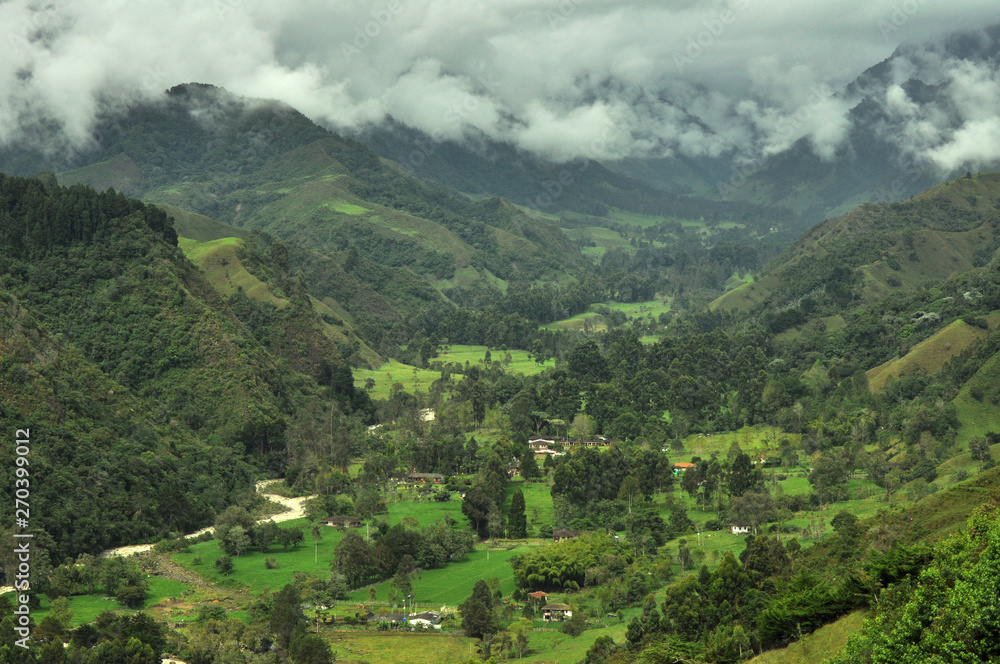 Vista panoramica de un paisaje en el Quindio Colombia con bosque de niebla
