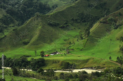 Paisaje rural en el Quindio Colombia