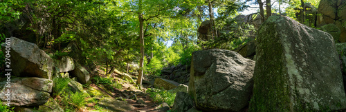 A hiking trail at Purgatory Chasm State Reservation in Sutton Massachusetts