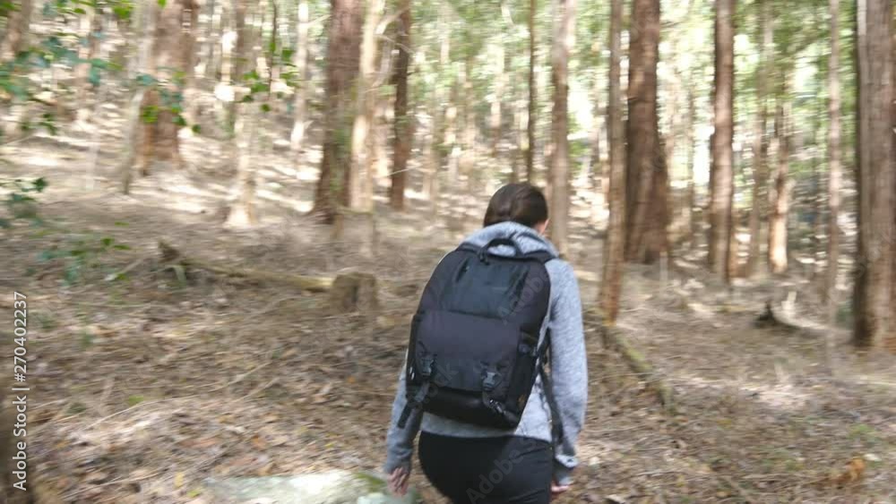 Young woman tourist with backpack walking in the forest. Female backpacker going through the wood during summer vacation travel. Girl hiking at nature. Concept of healthy active lifestyle. Rear view Young woman tourist with backpack walking in the forest. Female backpacker going through the wood during summer vacation travel. Girl hiking at nature. Concept of healthy active lifestyle. Rear view