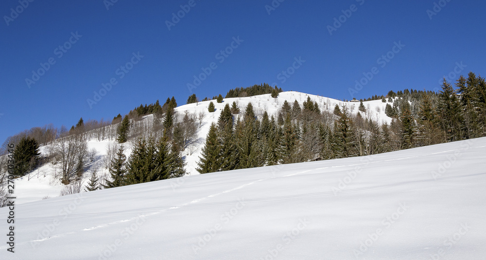 Paysage de montagne dans les Alpes 