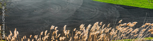 patterns on arable black soil at the spring field near cane photo