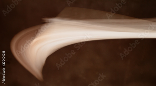 Obraz na płótnie Blur abstract with artistic shape and tones.
