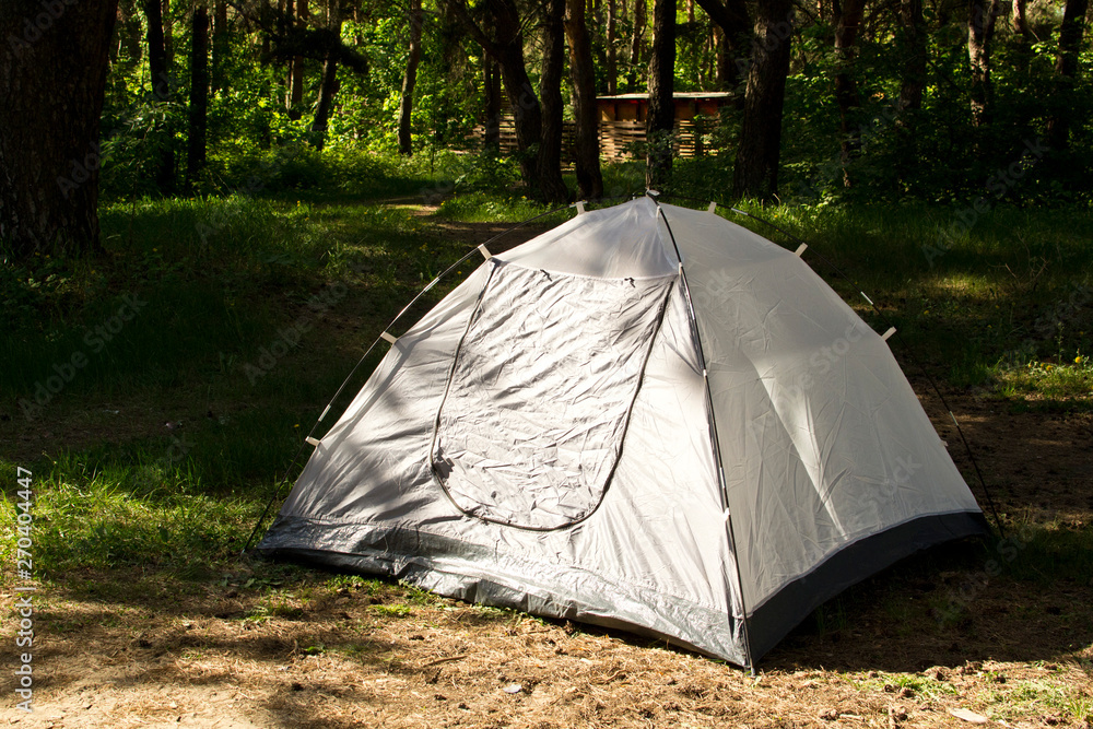 Tourist tent in a pine forest Tourist tent in a pine forest