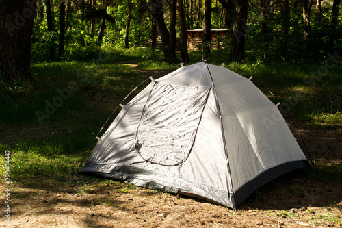 Tourist tent in a pine forest © Ксения Ощепкова