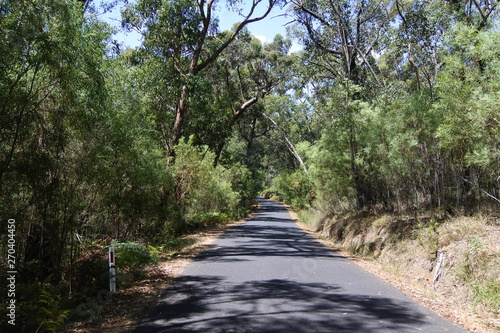 Einsame Straße im Grampians-Nationalpark in Australien