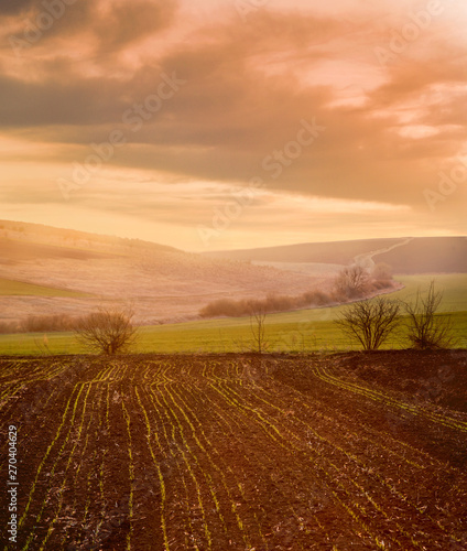 spring fields at sunset rays in the evening