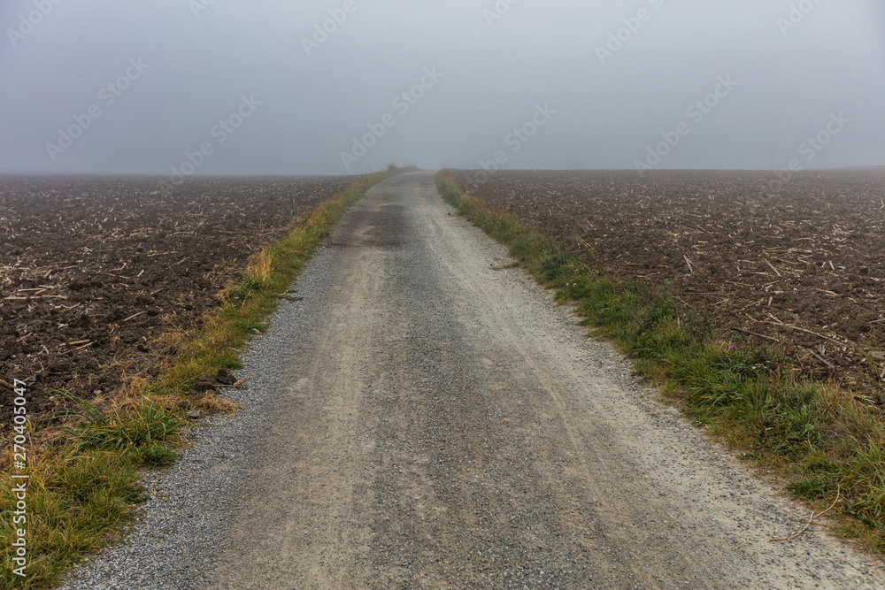 misty field road 