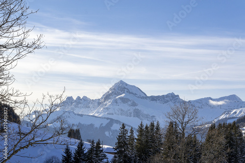 Paysage de montagne dans les Alpes  © emmanuel