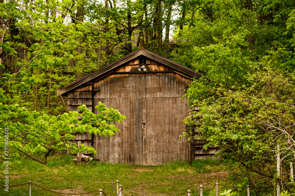 a building in the woods a building in the woods