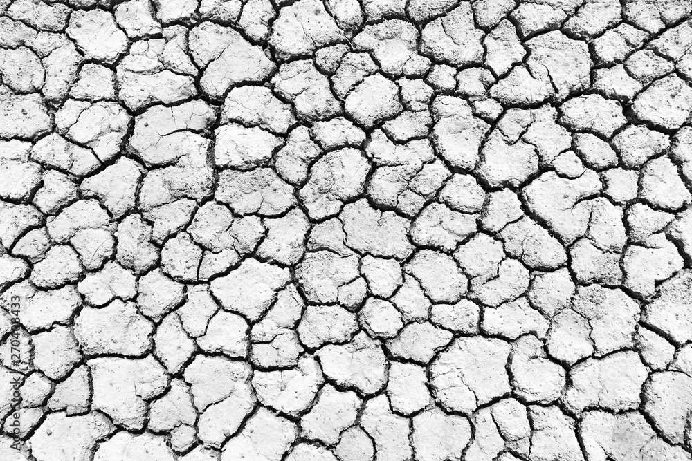 Black and white image of crack soil texture background Black and white image of crack soil texture background