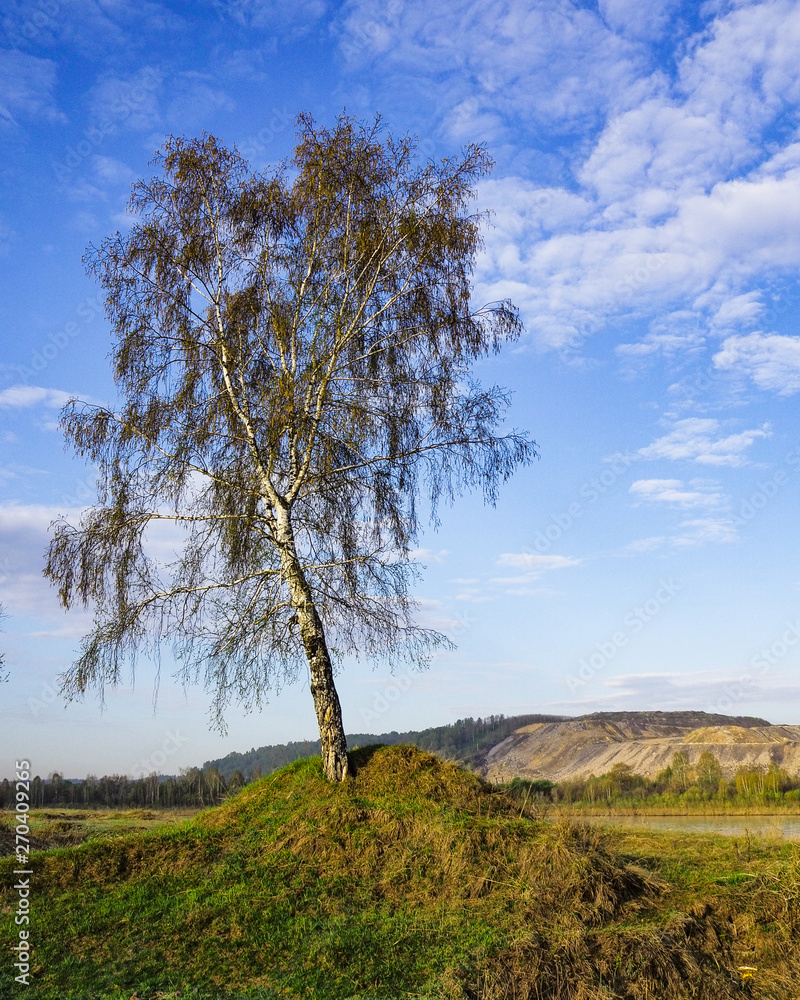 nature and sky