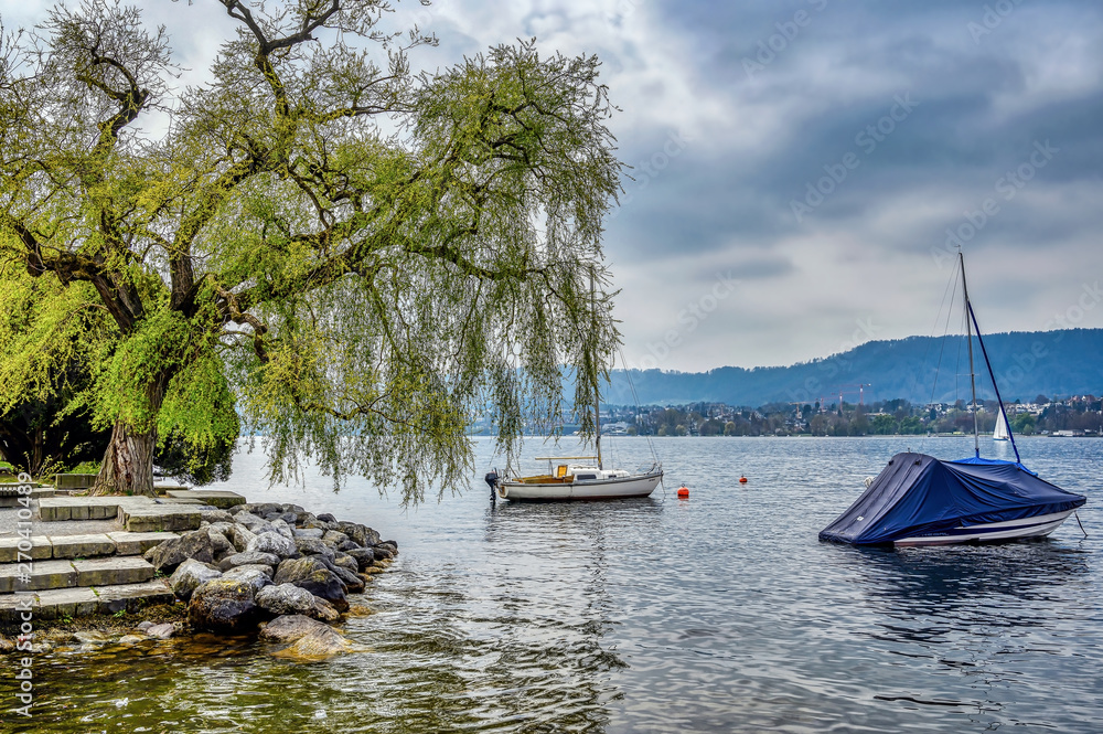 Lake Zurich in springtime