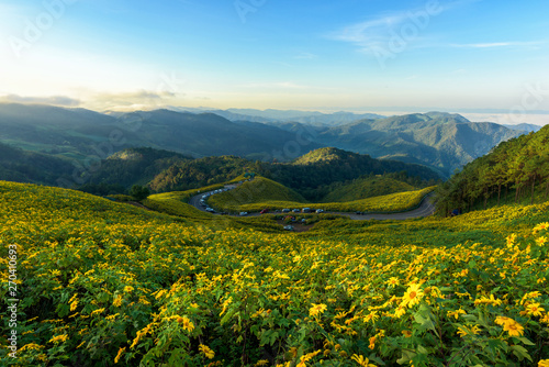 Fototapeta Naklejka Na Ścianę i Meble -  Tithonia diversifolia (Mexican Sunflower) with beautiful landscape view in Thailand.