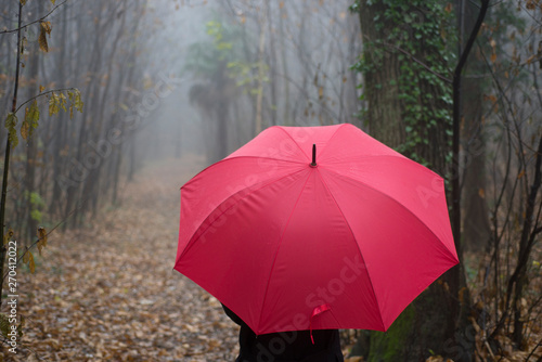 Woman Walking in the Foggy Forest with a Red Umbrella.