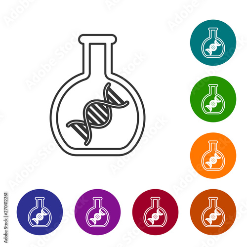 Grey DNA research, search line icon isolated on white background. Genetic engineering, genetics testing, cloning, paternity testing. Set icon in color circle buttons. Vector Illustration
