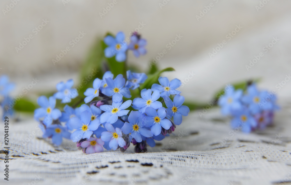 Beautiful light blue forget me not flowers on a white lace background Beautiful light blue forget me not flowers on a white lace background