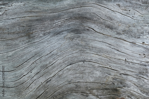 Aged wood texture is a background surface with a natural pattern.