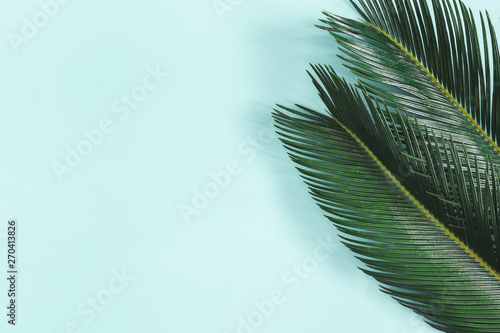 Summer composition. Palm leaves on pastel blue background. Summer concept. Flat lay, top view, copy space