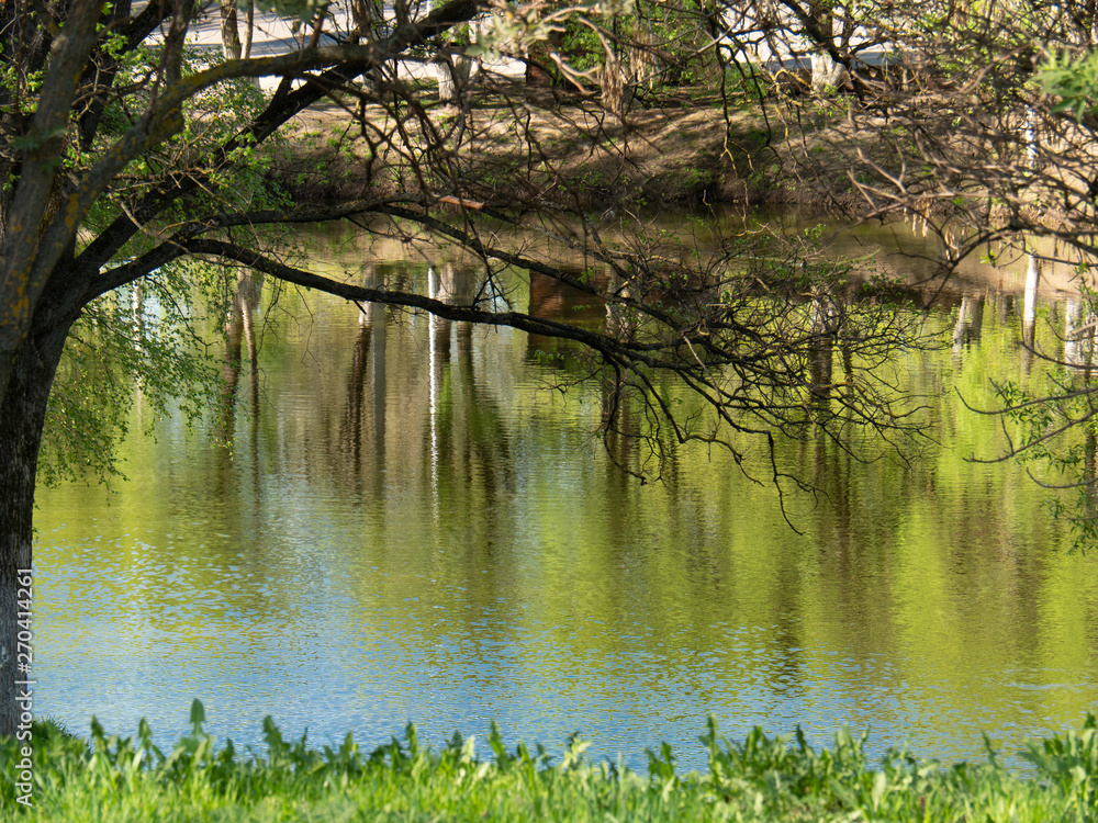 Obraz premium Beautiful summer landscape.