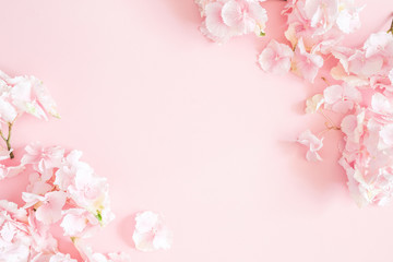 Flowers composition. Hydrangea flowers on pastel pink background. Flat lay, top view, copy space