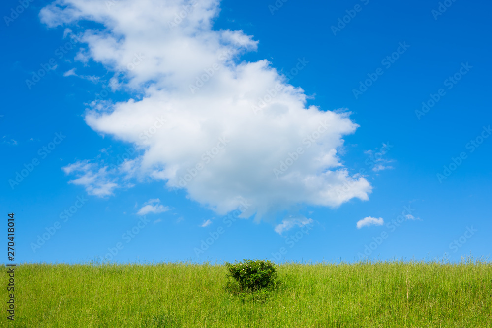 Landscape with green grass and sky Landscape with green grass and sky
