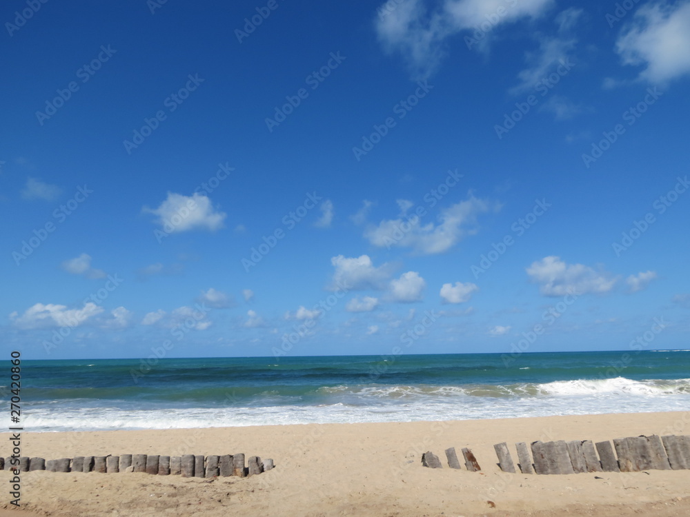 Fototapeta premium Beach